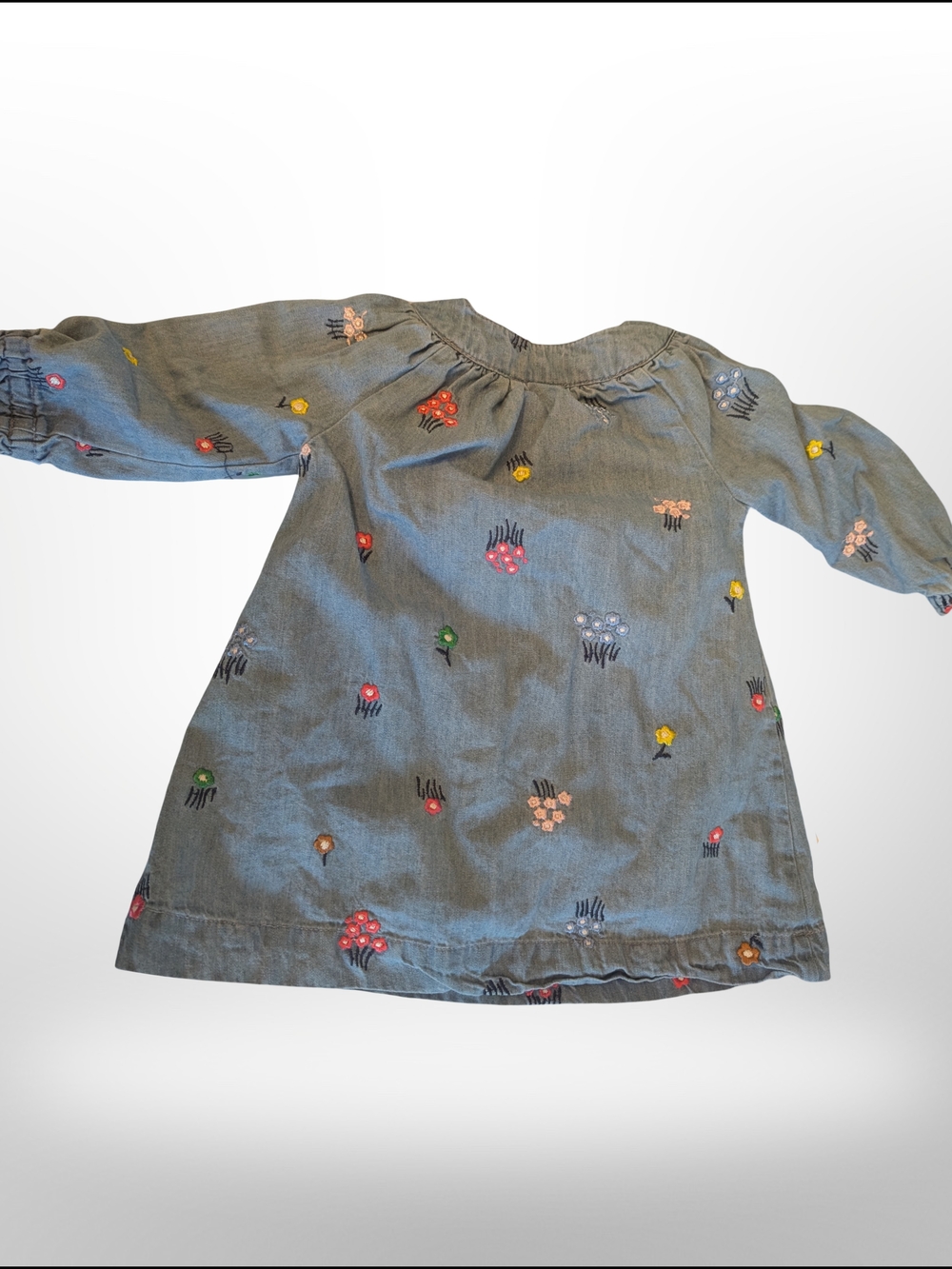 Hanna Andersson Chambray Dress with Multicolor Floral Embroidery - Blue